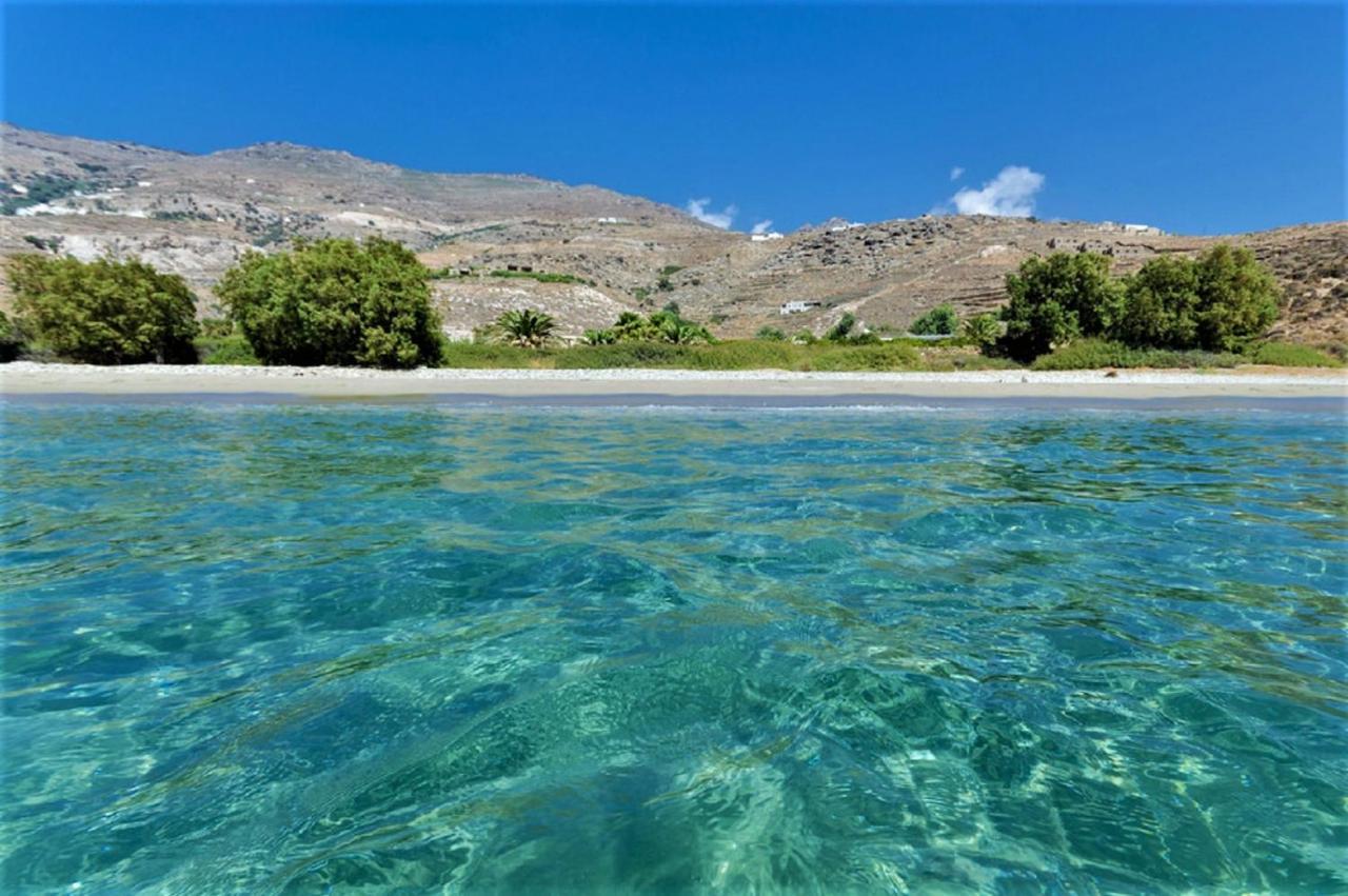 Ferienwohnung Irene - Tarambados - Tinos Kámbos Exterior foto